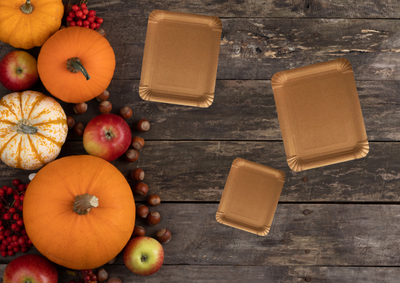 Pappteller rechteckig 10x16cm Frischfaser Braun 250 Stück