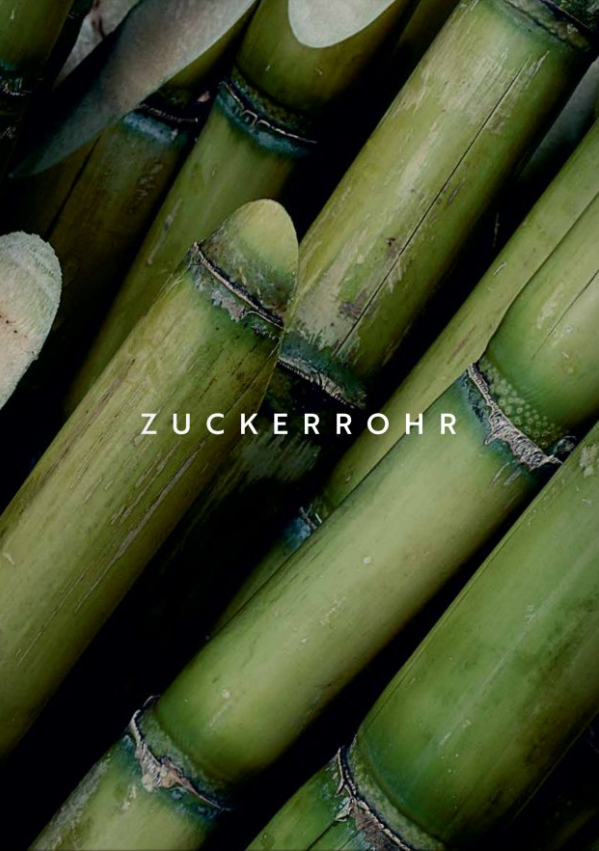Zuckerrohr Teller elegance rund