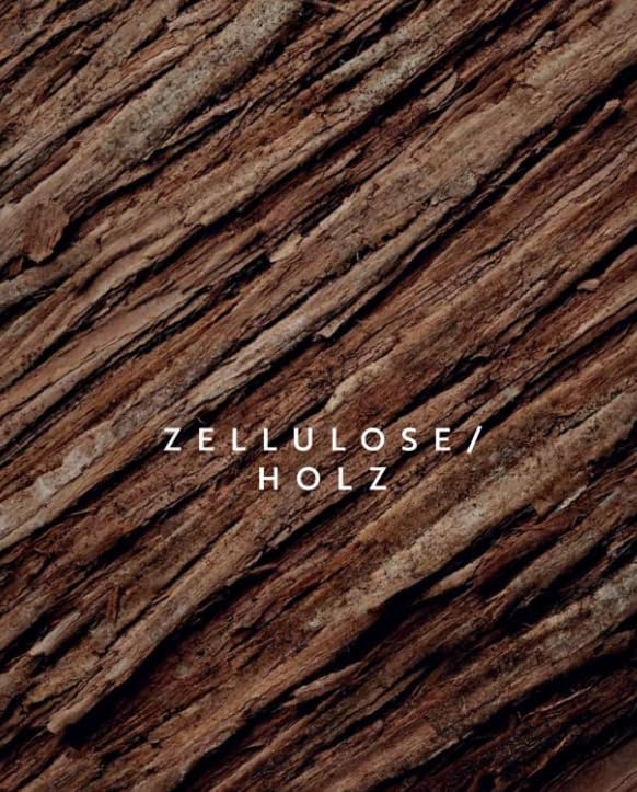 Gabel Holz Birke