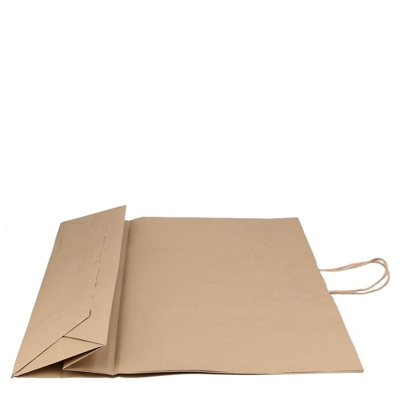 Umweltschonende Papier Tragetaschen 25 Stück 54 x 13 x 45 cm