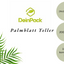 Palmblatt Teller 200 Stück 24x16x2,5 cm rechteckig