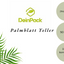 Palmblatt Teller 50 Stück 24x24x3 cm eckig