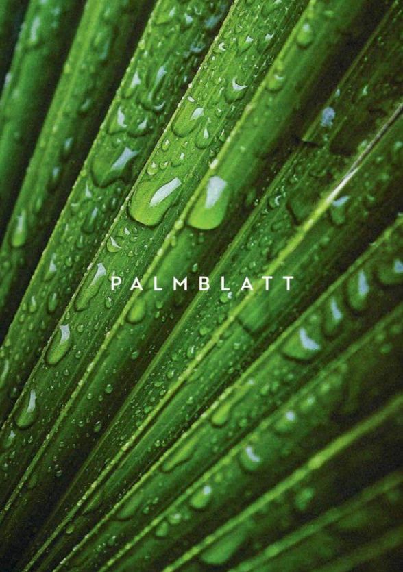 Palmblatt Teller 17cm rund