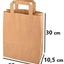 DeinPack Umweltschonende Papier Tragetaschen 50 Stück 22 x 10,5 x 30 cm