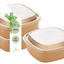 Einweg Salatschale quadratisch mit Deckel – To Go 400–1200 ml